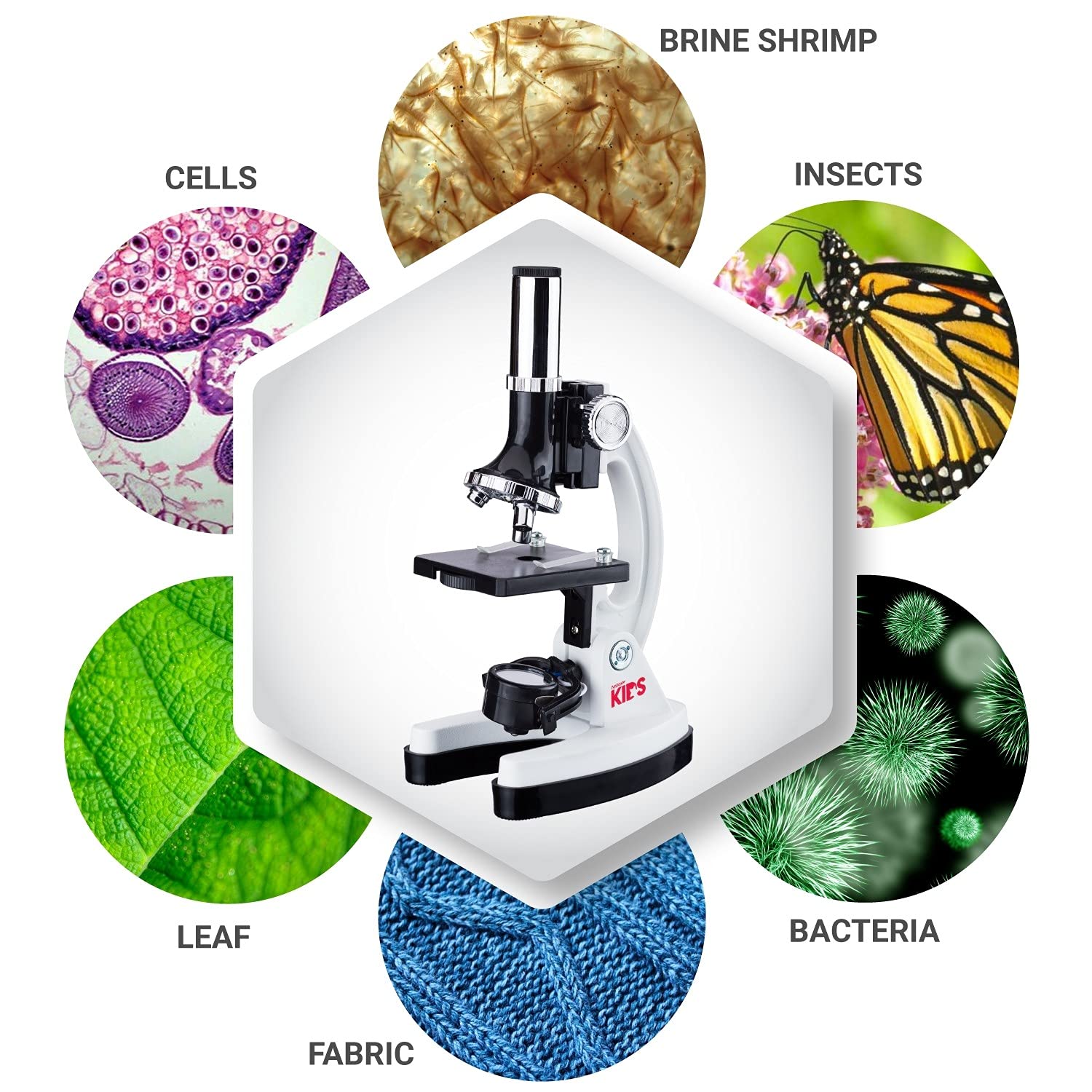 AmScope 120X-1200X 52-pcs Beginner Microscope STEM Kit with Metal Body Microscope, Plastic Slides, LED Light and Carrying Box (M30-ABS-KT2-W),White - ARVRedtech.com | AR & VR Education Technology