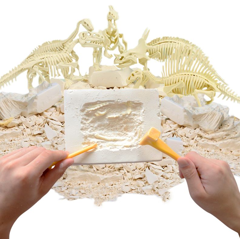 HamiltonBuhl Paleo Hunter™ Dig Kit – Triceratops for STEAM Education - ARVRedtech.com | AR & VR Education Technology