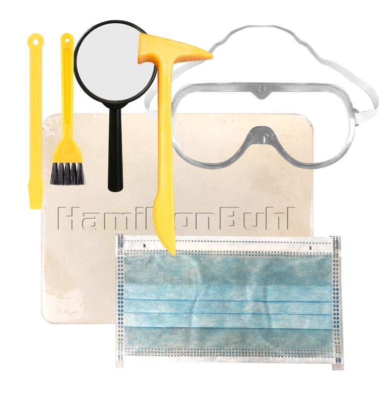 HamiltonBuhl Paleo Hunter™ Dig Kit – Triceratops for STEAM Education - ARVRedtech.com | AR & VR Education Technology