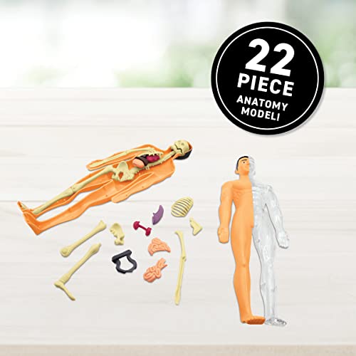 Abacus Brands Virtual Reality Human Body - Illustrated Interactive VR Book and STEM Learning Activity Set - ARVRedtech.com | AR & VR Education Technology