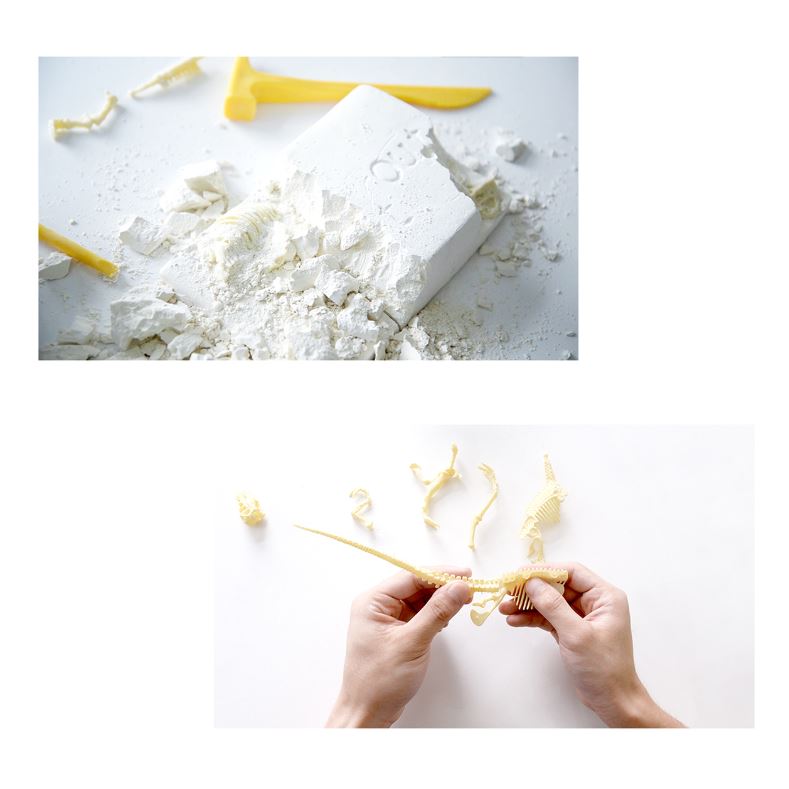 HamiltonBuhl Paleo Hunter™ Dig Kit – Triceratops for STEAM Education - ARVRedtech.com | AR & VR Education Technology