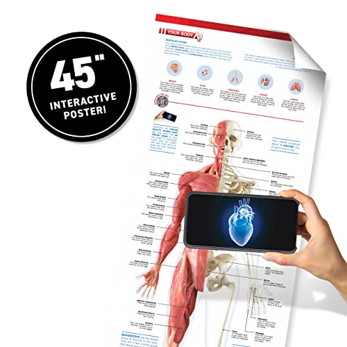 Abacus Brands Virtual Reality Human Body - Illustrated Interactive VR Book and STEM Learning Activity Set - ARVRedtech.com | AR & VR Education Technology