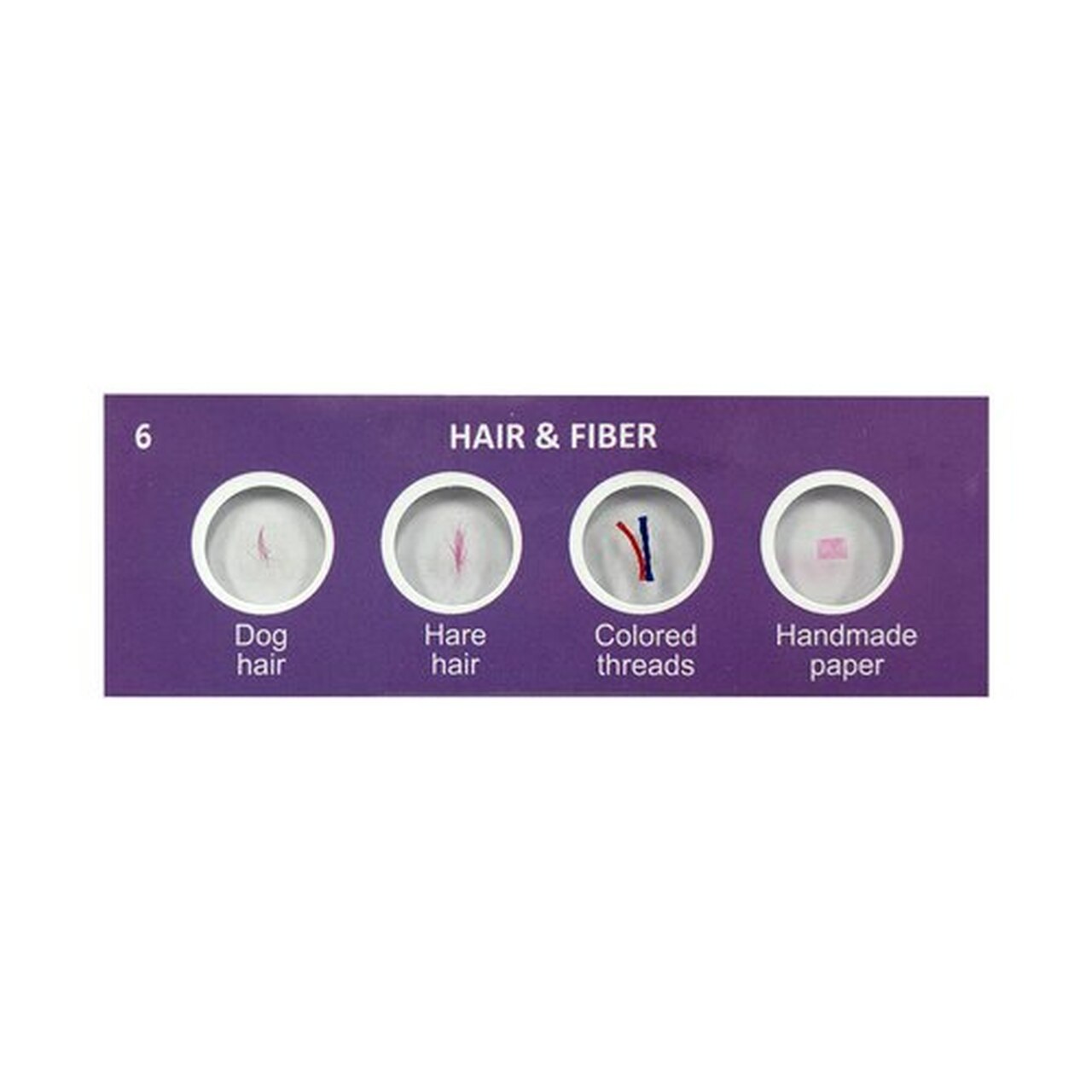 Scout™ Prepared Specimen Slides - ARVRedtech.com | AR & VR Education Technology