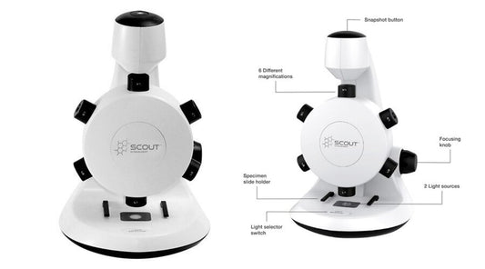 Unlock the World of STEM with the Scout™ Digital Microscope