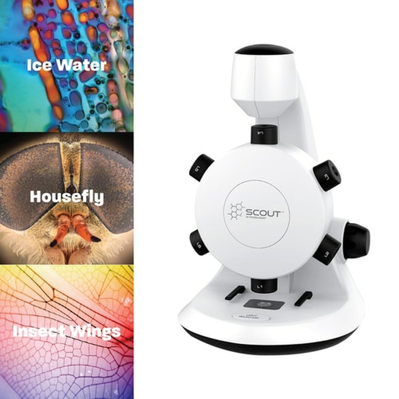 Scout™ Digital STEM Microscope with Six Magnification Lenses - ARVRedtech.com | AR & VR Education Technology