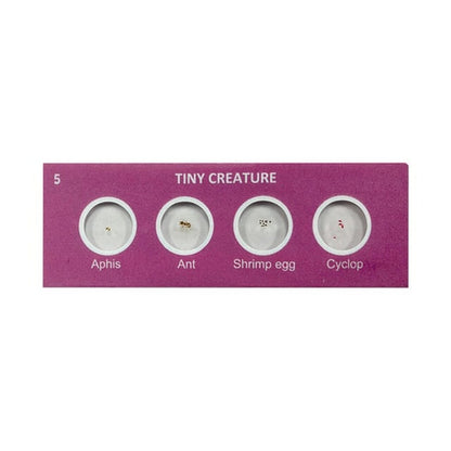 Scout™ Prepared Specimen Slides - ARVRedtech.com | AR & VR Education Technology